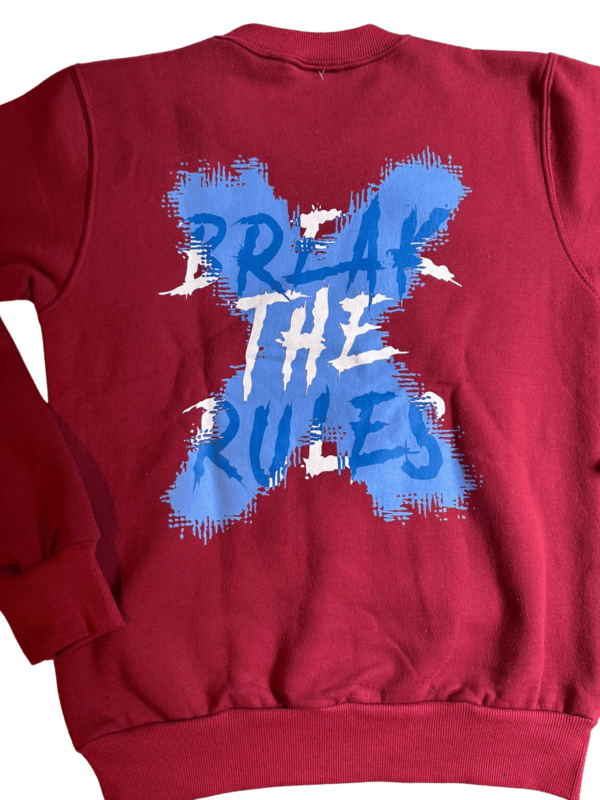 Buzo Break The Rules - Imagen 2