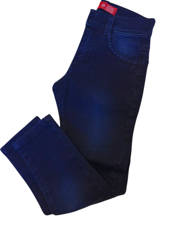 Skinny Colegial Desgastado 1722