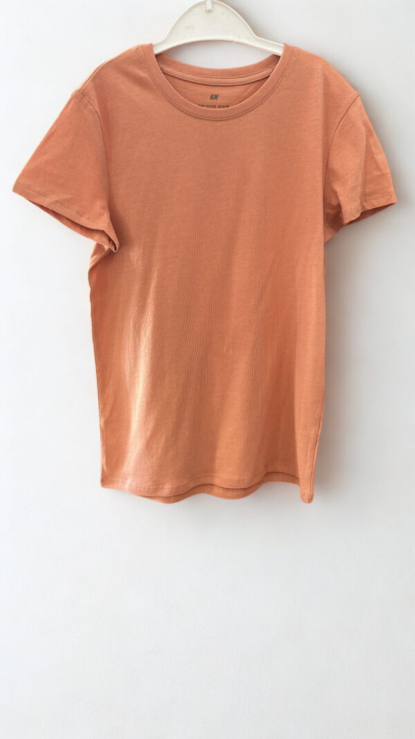 Remera Basica Ladrillo H&M